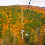 阿仁スキー場のゴンドラで紅葉山歩🍁オレンジに染まった落葉樹と常緑樹の緑のコントラストが見事でした⛰
#森吉山
