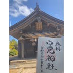 鳥取県
白兎神社
御朱印