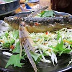 屋久島
夕食に食べた名物の「トビウオの姿揚げ」。羽の部分も食べられて、実は煎餅みたいで美味！