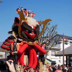 〰Saga🇯🇵〰
#唐津くんち