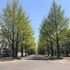 北海道
北海道大学