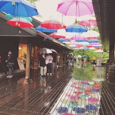 雨の軽井沢ってほんと素敵