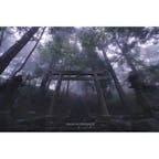 大阪のとある神社