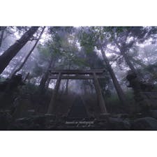 大阪のとある神社