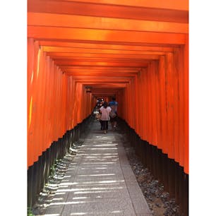 #伏見稲荷大社 #鳥居 #千本鳥居 #京都 #201508