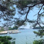 #松島湾 #松島 #宮城
2019年7月

毎年来ているけど松島海岸側から見るのは初めて🏝
観光船を使って大好きな塩竈へ...🚤