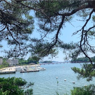 #松島湾 #松島 #宮城
2019年7月

毎年来ているけど松島海岸側から見るのは初めて🏝
観光船を使って大好きな塩竈へ...🚤