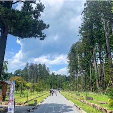 #瑞巌寺 #松島 #宮城
2019年7月

お寺にはあまり興味がない方だけど、
1歩踏み入れた瞬間、美しさと荘厳さに息を飲んだ