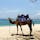 バリ島のタマン・サリ・ビーチ♪
バリ島でラクダさんに乗れるんですよー(^^)⭐︎
砂浜とラクダのコラボレーション