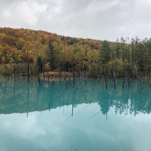 白金青い池