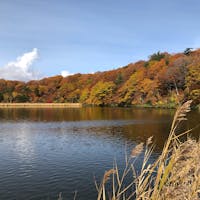 秋田県八幡平大沼
ギリギリ紅葉が見れました🍁
#八幡平#紅葉#秋田県