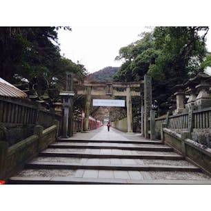 #金比羅山 #階段たくさん #香川 #201502
