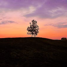 北海道
美瑛
新栄の丘
夕焼けが美しいことで知られています。