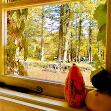 北海道
富良野
風のガーデン