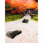 宮城県松島の円通院。白砂の庭園に落ちる赤い紅葉が可愛い！
