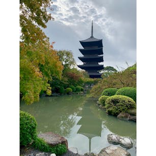 2019.10
#京都
#紅葉
#東寺
#五重塔