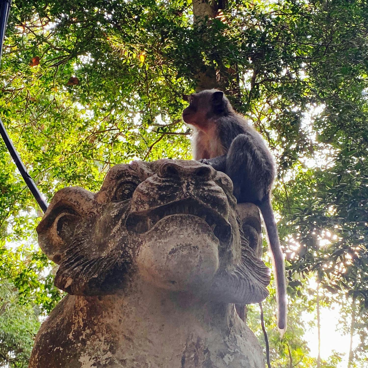 モンキーフォレスト Monkey Forest の投稿写真 感想 みどころ バリ島 モンキーフォレスト森林浴しながら野生のお猿さんを見 トリップノート
