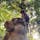 バリ島　モンキーフォレスト
森林浴しながら野生のお猿さんを見ることができます(^^)