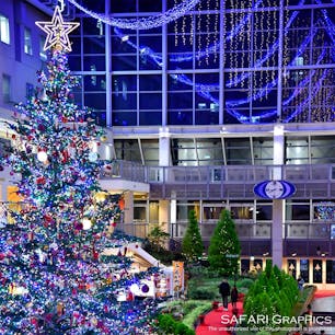 今年もサッポロファクトリー のジャンボクリスマスツリー が点灯しました🎄11/22からはホワイトイルミネーションやミュンヘンクリスマス市なども始まり、クリスマスムード一色になっていきます。#北海道　#札幌　
サッポロファクトリークリスマス2019
期間／11/2～12/25　点灯／16:00