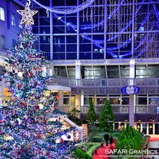 今年もサッポロファクトリー のジャンボクリスマスツリー が点灯しました🎄11/22からはホワイトイルミネーションやミュンヘンクリスマス市なども始まり、クリスマスムード一色になっていきます。#北海道　#札幌　
サッポロファクトリークリスマス2019
期間／11/2～12/25　点灯／16:00