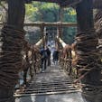 〰Tokushima🇯🇵〰
#祖谷の蔓橋