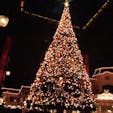 東京ディズニーランド
東京ディズニーシー

-クリスマス仕様🎄-

2019.11.2-11.3