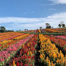 栃木
那須
那須フラワーワールド