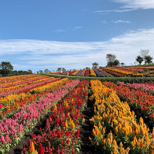 那須フラワーワールド