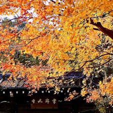 京都
嵯峨野
常寂光寺