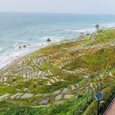 世界農業遺産 白米千枚田