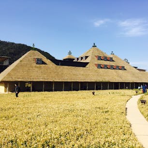 ラ コリーナ近江八幡