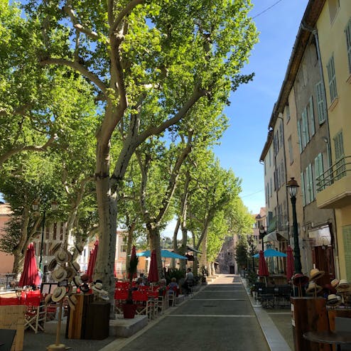 コティニャック