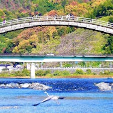 山口県
錦帯橋