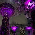 シンガポール
ガーデンズ・バイ・ザ・ベイ
昼間も良いけど夜がオススメ