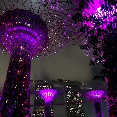 ガーデンズ・バイ・ザ・ベイ