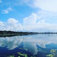 カンボジア　アンコールワット内の湖？で撮影しました。
最高の青空！