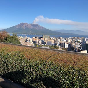 2019/11/01
城山観光ホテル玄関前から見える桜島。
#鹿児島　#城山観光ホテル　#桜島