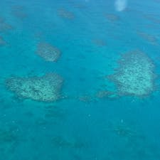 グレートバリアリーフの中の1つ、コアラの形をした‘コアラリーフ ’です🐨🌿(左側)

広い中から見つけるのは難しいですが、見つけたらラッキーです🌷