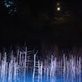 美瑛 月と青い池
