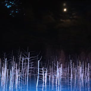 美瑛 月と青い池