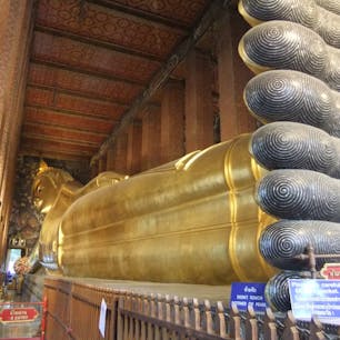 2014.09.25
🏕:ワット・ポー 涅槃仏(タイ/バンコク)
📷:***