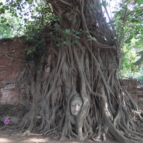 ワット・プラ・マハタート