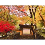 京都
大原
寂光院