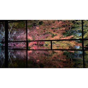 瑠璃光院…また今年も行きたいなぁ☺️