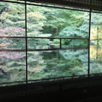 京都 瑠璃光院 11月上旬 紅葉し始め🍁