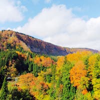 新潟県の秋山郷
紅葉が見頃です🍁