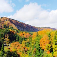 新潟県の秋山郷
紅葉が見頃です🍁