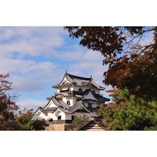 滋賀　　彦根城