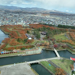 五稜郭タワーより
