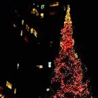 New York / Manhattan
Washington Square Park
ワシントンスクエアパーク近くの大きなクリスマスツリー♪
